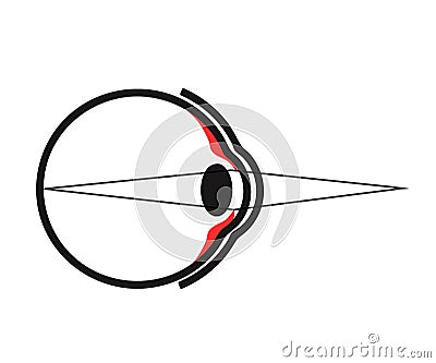 Human eye on a white background. The structure of the eyeball. Vector Vector Illustration